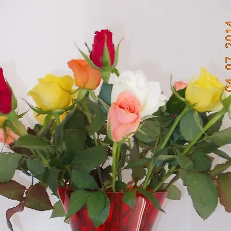 In De Achtste Hemel * Schimmert