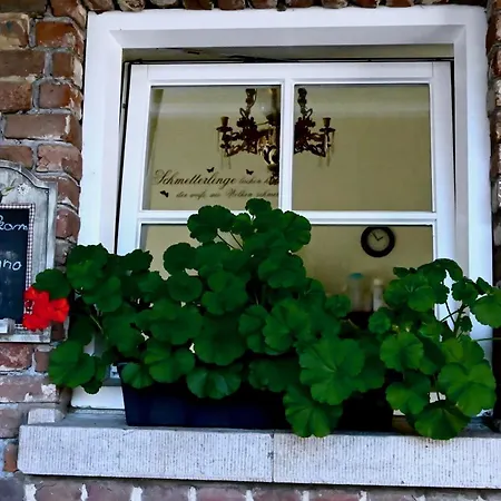 In De Achtste Hemel Schimmert