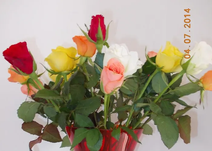 In De Achtste Hemel * Schimmert